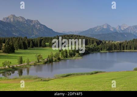 Geografia / viaggio, Germania, Baviera, Rieden al Lago di Forggen (Forggensee), Mare di Hegressried di fronte , diritti-aggiuntivi-clearance-Info-non-disponibile Foto Stock