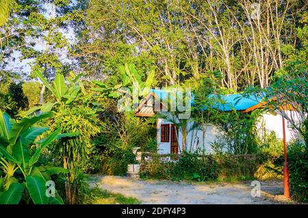 Piccolo bungalow a palme di cocco plantation. Foto Stock