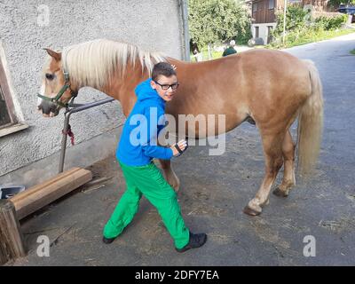 Ragazzo che mancia un cavallo di fronte alla stalla Foto Stock