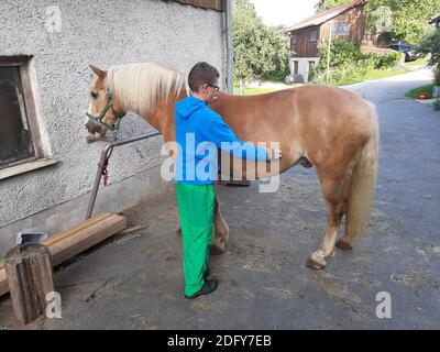 Ragazzo che mancia un cavallo di fronte alla stalla Foto Stock