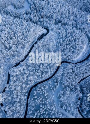 Splendido paesaggio invernale di alberi ricoperti di neve e foreste, mentre una strada attraversa il paesaggio. Foto Stock