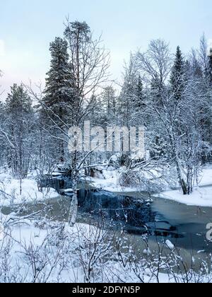 Inverno nevoso foresta settentrionale con fiume in una giornata polare Foto Stock