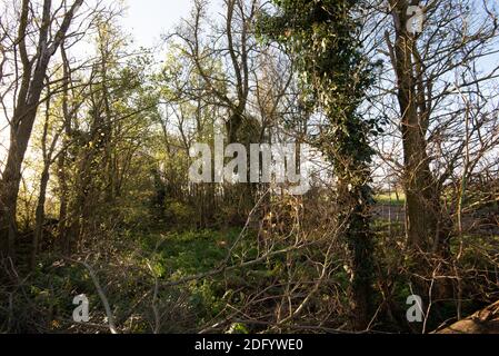 M25 Colne Valley zona di servizio autostrada Sito proposto, Iver Heath, Bucks - applicazione di pianificazione PL/20/4332/OA Foto Stock