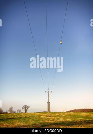 I montanti Telegraph sono allineati su un campo con cavi che conducono dall'alto. Ci sono alberi ai lati e un cielo limpido in alto. Foto Stock