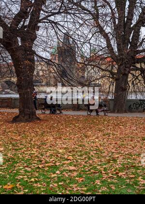 Parco dell'isola di Kampa con vista sulla città vecchia di Praga in autunno Foto Stock