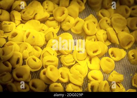 Tortellini Macaroni crudi italiani fatti in casa sullo sfondo di pasta ripiena, vista dall'alto Foto Stock