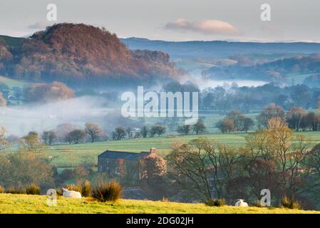 Newton, Clitheroe, Lancashire, Regno Unito. 7 Dic 2020. Una bella, fredda, nebbiosa mattina su terreni agricoli a Newton, Clitheroe, Lancashire. Credit: John Eveson/Alamy Live News Foto Stock