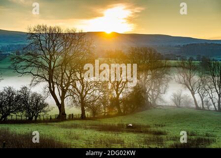 Newton, Clitheroe, Lancashire, Regno Unito. 7 Dic 2020. Una bella, fredda, nebbiosa mattina su terreni agricoli a Newton, Clitheroe, Lancashire. Credit: John Eveson/Alamy Live News Foto Stock