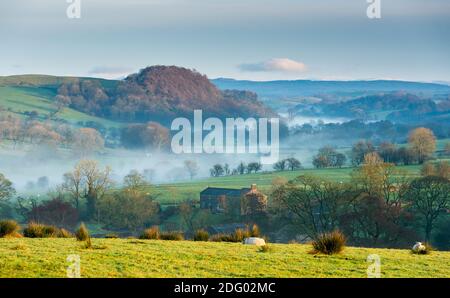 Newton, Clitheroe, Lancashire, Regno Unito. 7 Dic 2020. Una bella, fredda, nebbiosa mattina su terreni agricoli a Newton, Clitheroe, Lancashire. Credit: John Eveson/Alamy Live News Foto Stock