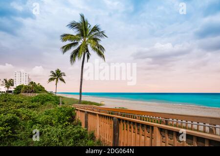 Spiaggia con palme in Florida, Stati Uniti. Foto Stock
