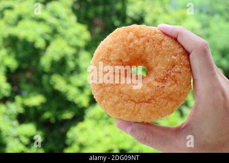Closeup mano dell'uomo tenendo una ciambella di cannella dello zucchero con offuscata Green Foliage sullo sfondo Foto Stock