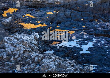 Riflessi in rockpools della costa vulcanica di montagna gialla e cielo blu Montaña Amarilla, Costa Silencio, Tenerife, Isole Canarie, Spagna Foto Stock