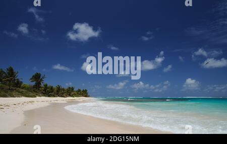 Flamenco Beach Foto Stock