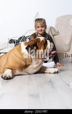 La bambina sta accarezzando il cane. Bulldog inglese come fedele amico dell'uomo. Una razza con un cappotto marrone con macchie bianche. Foto Stock