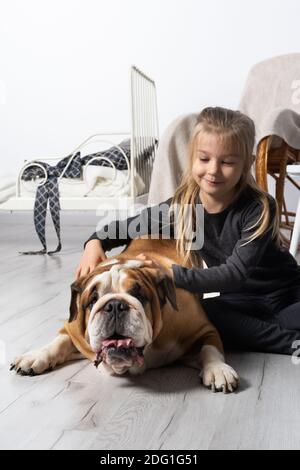 La bambina sta accarezzando il cane. Bulldog inglese come fedele amico dell'uomo. Una razza con un cappotto marrone con macchie bianche. Foto Stock