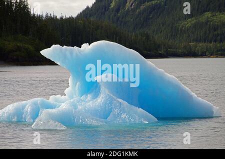 Iceberg presso il ghiacciaio Meares Foto Stock