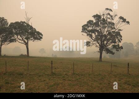 Fumo di Bushfire sulla campagna del Gippsland Orientale, Victoria, Australia Foto Stock
