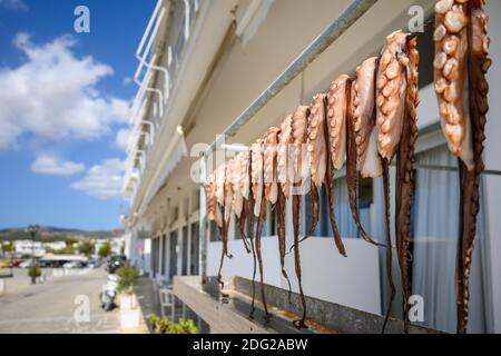 Polpo asciugante sulla strada nel villaggio di Aliki. Isola di Paros, Cicladi, Grecia. Foto Stock