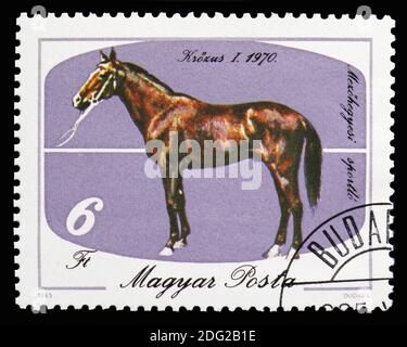 MOSCA, RUSSIA - 21 OTTOBRE 2018: Un francobollo stampato in Ungheria mostra , cavalli serie, circa 1985 Foto Stock