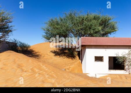 Edificio abbandonato sepolto nella sabbia nel villaggio fantasma di al Madam a Sharjah, Emirati Arabi Uniti, con alberi selvatici Ghaf intorno. Foto Stock