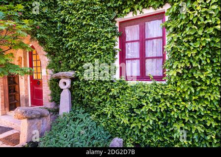 Bella finestra rossa su un muro coperto di edera Foto Stock