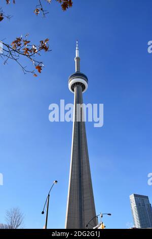 La CN Tower contro un cielo blu chiaro e pianeggiante. Un albero con foglie arancioni, lampioni stradali e l'edificio sono parzialmente in tiro. Toronto, Ontario, Canada. Foto Stock