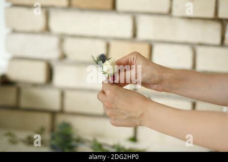 Donna fiorista mani raccoglie i fiori per lo sposo boutonniere. Evento decorazione fiori freschi. Flusso di lavoro fiorista. Design per banchetti di nozze. Foto Stock