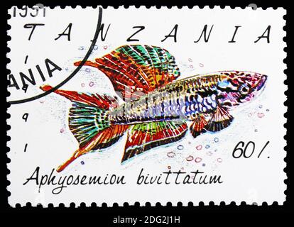 MOSCA, RUSSIA - 10 NOVEMBRE 2018: Un francobollo stampato in Tanzania mostra Twostriand Lyretail (Aphyosemion bivittatum) , Serie di pesci, circa 1991 Foto Stock