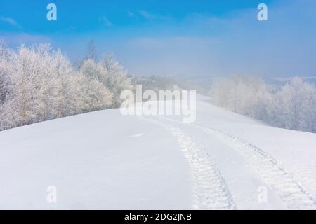 alberi in brina su una collina innevata. fiaba paesaggio montano invernale. tempo foggoso in una giornata di sole Foto Stock