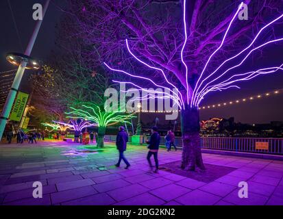 Londra, Regno Unito. 7 dicembre 2020. "Winter Light" al Southbank Centre. "Lumen", alberi illuminati da una brillante flessione al neon dell'artista David Ogle. Oltre 15 opere d'arte e nuove commissioni illuminate da una serie di importanti artisti internazionali sono presenti durante la "Winter Light", situata intorno agli edifici di Southbank e al Riverside Walk fino alla fine di febbraio 2021. Credit: Guy Corbishley/Alamy Live News Foto Stock