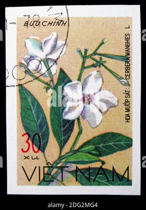 MOSCA, RUSSIA - 10 NOVEMBRE 2018: Un francobollo stampato in Vietnam mostra Cerbera manghes, serie Wildflowers, circa 1977 Foto Stock