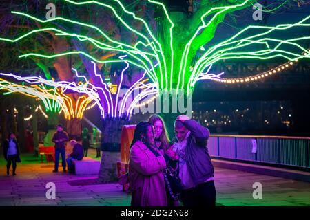 Londra, Regno Unito. 7 dicembre 2020. "Winter Light" al Southbank Centre. "Lumen", alberi illuminati da una brillante flessione al neon dell'artista David Ogle. Oltre 15 opere d'arte e nuove commissioni illuminate da una serie di importanti artisti internazionali sono presenti durante la "Winter Light", situata intorno agli edifici di Southbank e al Riverside Walk fino alla fine di febbraio 2021. Credit: Guy Corbishley/Alamy Live News Foto Stock