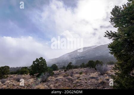Schiarimento delle nubi tempeste; neve coperta Simmons Peak; altitudine 12.050'; vicino Salida; Colorado; USA Foto Stock
