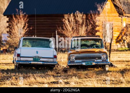 Old Jeep Wagoneers seduto nelle erbacce su un Colorado ranch Foto Stock