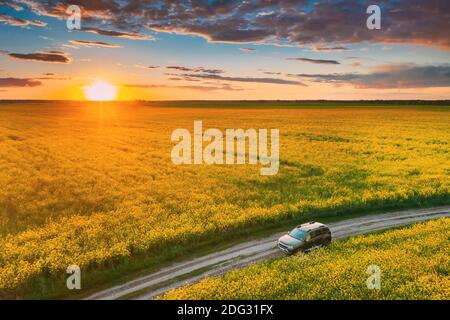 Vista aerea. Sole all'alba cielo luminoso drammatico sopra il paesaggio agricolo con fioritura campo di semi oleosi fioriti. Stagione primaverile. Fiore Canola Foto Stock