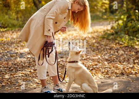 donna e simpatico cane nella foresta, bionda caucasica femmina in mantello tra foglie caduti al sole giorno d'autunno Foto Stock