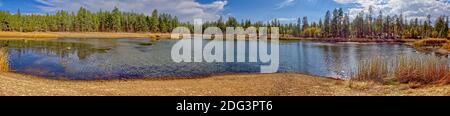 Panorama del lago JD Dam nella Foresta Nazionale di Kaibab a sud di Williams Arizona. Quest'area è solo una piccola area delle dimensioni del lago. La maggior parte di esso ha dri Foto Stock