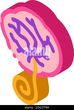 icona isometrica umana placenta colore dell'illustrazione vettoriale Illustrazione Vettoriale