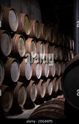 Old porto Lodge con file di botti di legno di quercia per un lento invecchiamento di vino rosso rubino fortificato o di porto in Vila Nova de Gaia, a nord del Portogallo Foto Stock