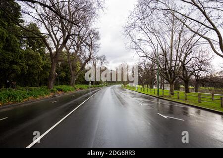 Melbourne, Australia, 14 agosto 2020. Alexandra Ave è priva di traffico durante il COVID-19 a Melbourne, Australia. Victoria ha registrato 14 decessi correlati a COVID, tra cui un 20 anni, segnando il più giovane a morire di Coronavirus in Australia, e altri 372 nuovi casi overnight.Credit: Dave Hewison/Alamy Live News Foto Stock