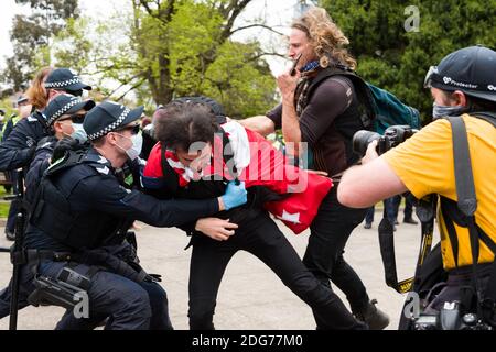 Melbourne, Australia, 23 ottobre 2020. La polizia è vista arrestare un protestante durante il Melbourne Freedom Rally al Santuario. Il Premier Daniel Andrews promette un 'significativo' allentamento delle restrizioni di fase 4 questo fine settimana. Questo viene come solo un nuovo caso di Coronavirus è stato scoperto nel corso delle ultime 24 ore e non Deaths.Credit: Dave Hewison / Alamy Live News Foto Stock