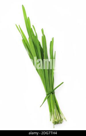 Un fascio di erba verde e un colpo di succo di grano fresco isolato su sfondo bianco. Foto Stock