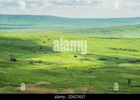 Paesaggio estivo con pochi alberi sul prato erboso collinare vicino alla foresta in montagna. Caucaso, Russia Foto Stock