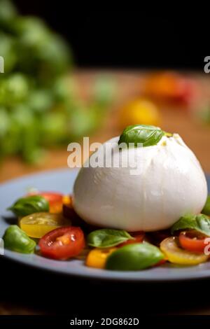 Burrata su insalata colorata di pomodoro e basilico Foto Stock