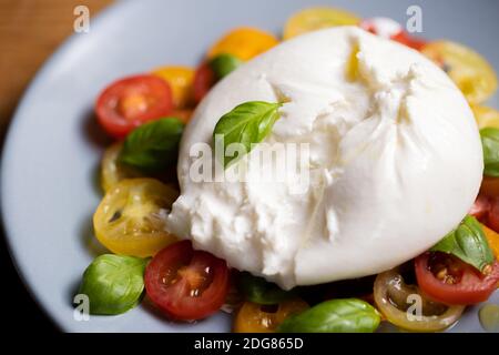 Burrata su insalata colorata di pomodoro e basilico Foto Stock