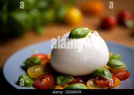 Burrata su insalata colorata di pomodoro e basilico Foto Stock