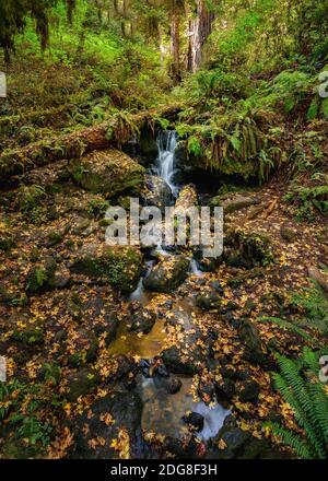 Cascate di Trillium, Orick, California Foto Stock