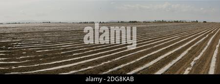 Provincia di Heilongjiang Jiamusi terreni agricoli huanan Foto Stock