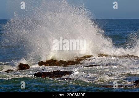 Stürrmische Vedi An den Felsen von Bird Island, Lamberts Bay, Western Cape, Westkap, Suedafrika, Afrika Foto Stock