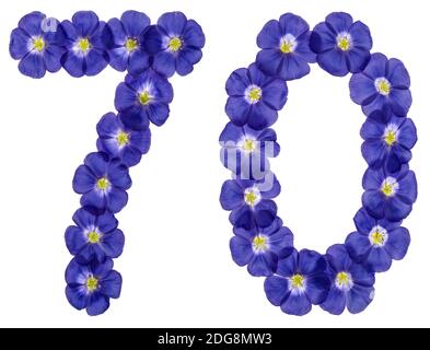 Numero arabo 70, settanta, dai fiori blu di lino, isolato su sfondo bianco Foto Stock